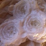 witte rozen